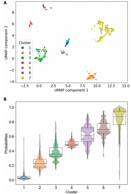 基于SHAP值的UMAP可视化聚类与各聚类死亡概率分布图
