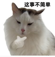 白猫表情严肃图