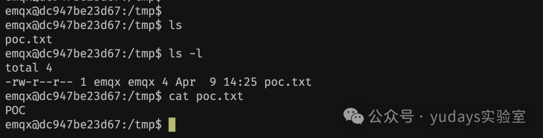 验证命令执行结果
