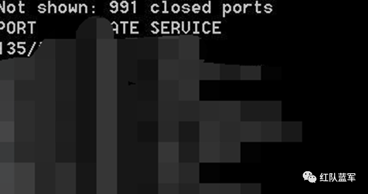 端口扫描结果显示大量开放端口