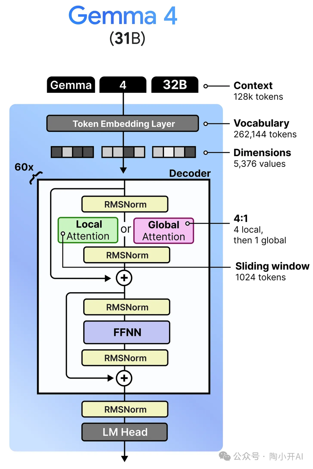 Gemma 4 31B模型详细架构图