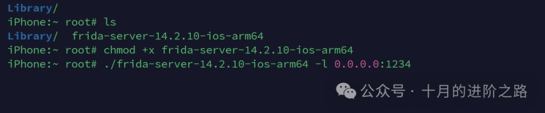 手动启动frida-server