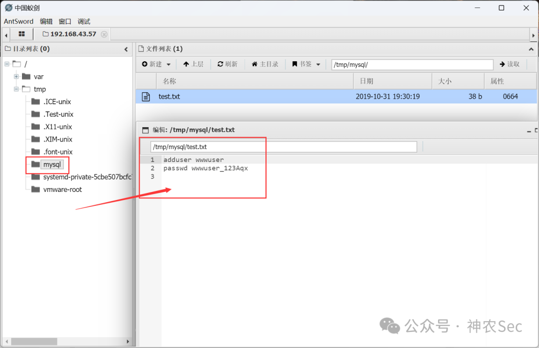mysql 目录下的 test.txt