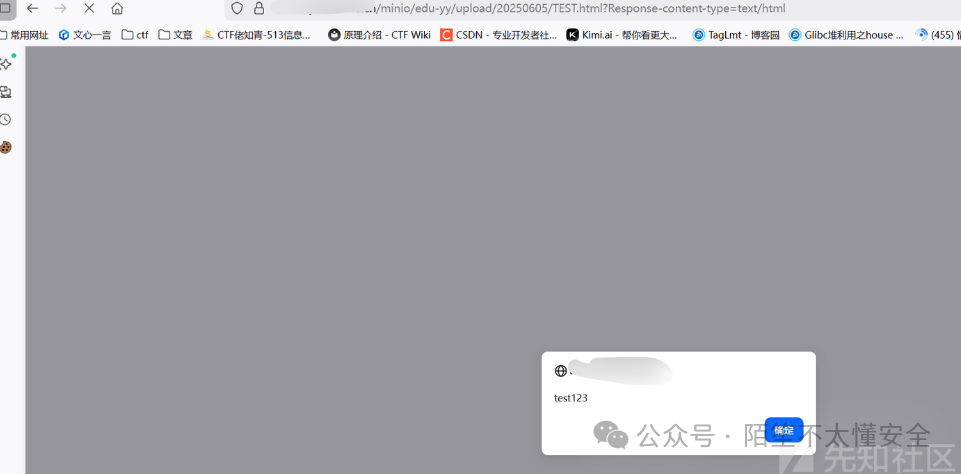 成功触发XSS弹窗