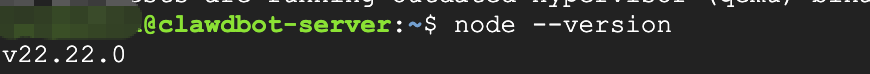 执行node --version确认版本为v22.22.0