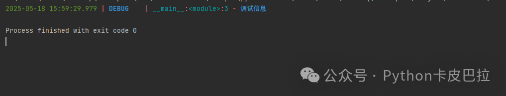 终端控制台DEBUG日志输出截图