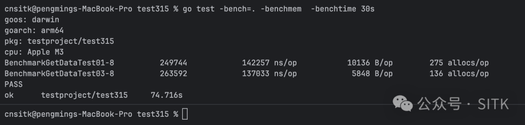 终端基准测试结果截图，显示 ns/op、B/op、allocs/op 对比