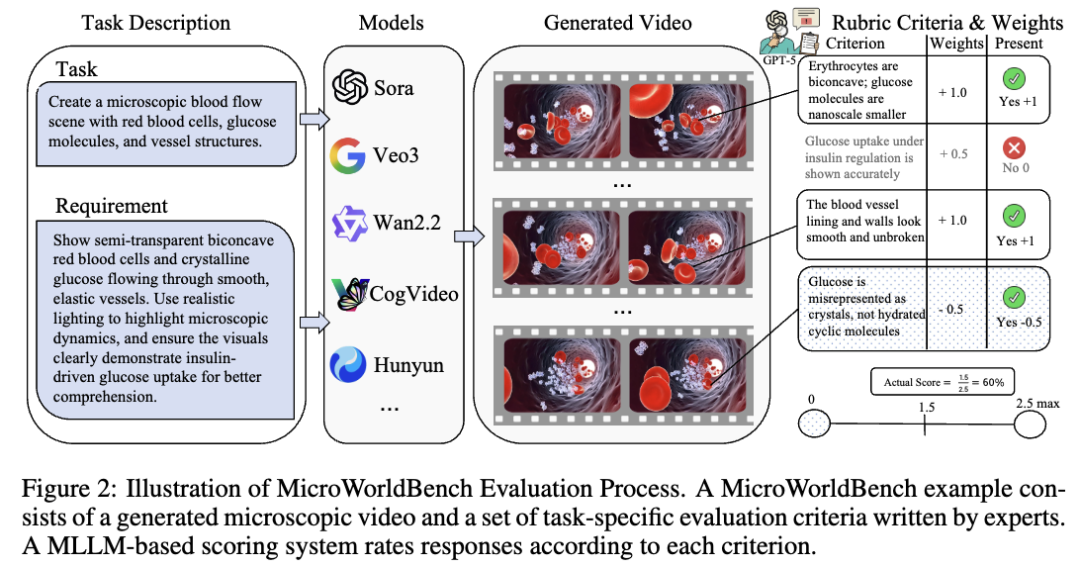 MicroWorldBench评估流程示意图