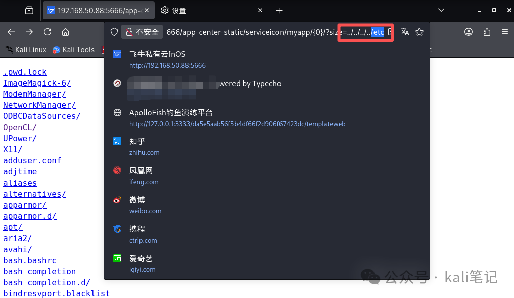 在浏览器中直接利用漏洞访问敏感路径