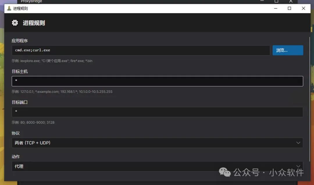 进程规则设置窗口