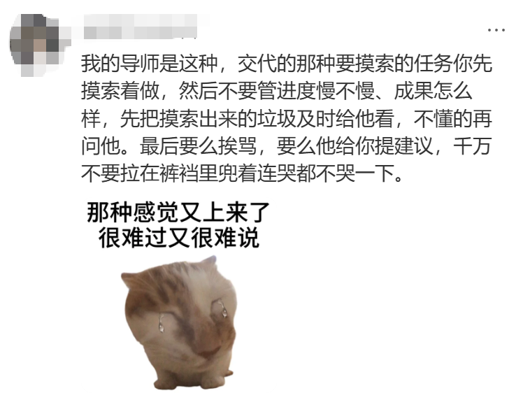 社交媒体图文截图,描述一种导师指导模式:先摸索做,及时给导师看垃圾成果,不懂就问,最后要么挨骂要么得建议