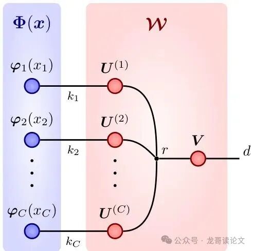 图2：FUTON前向传播的张量图