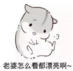 卡通猫咪表情包：老婆怎么看都漂亮啊~