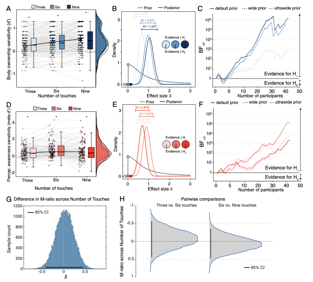 不同触觉次数下身体所有权与觉知敏感度变化图