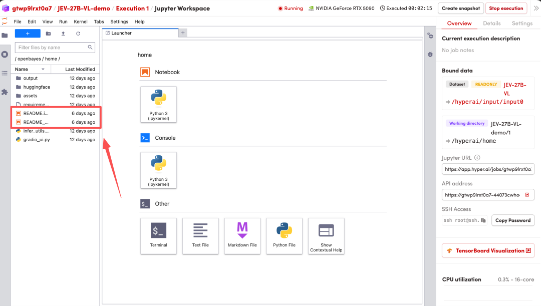 Jupyter Workspace界面：Launcher面板与文件浏览器