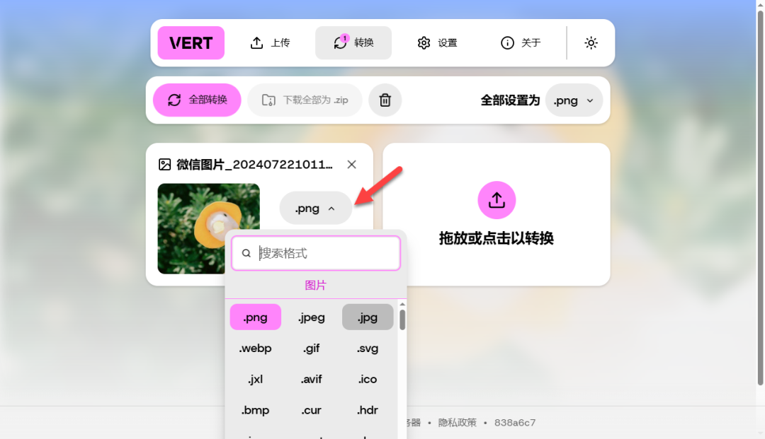 选择图片转换的目标格式