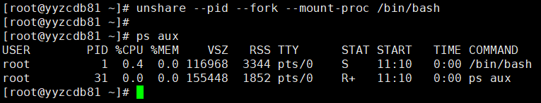 新建PID命名空间中的进程列表