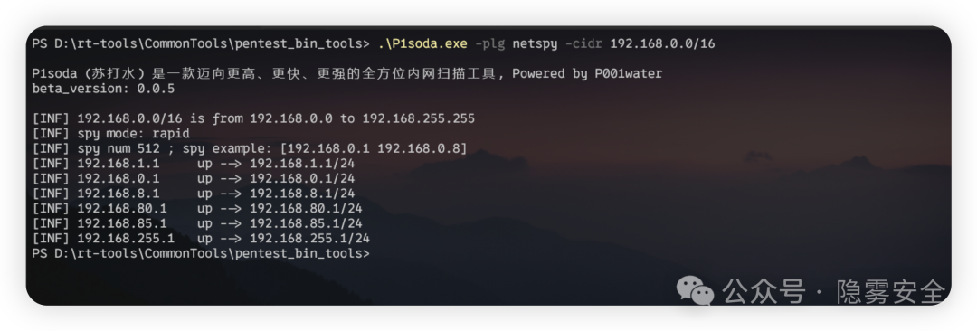 P1soda netspy插件扫描B段结果