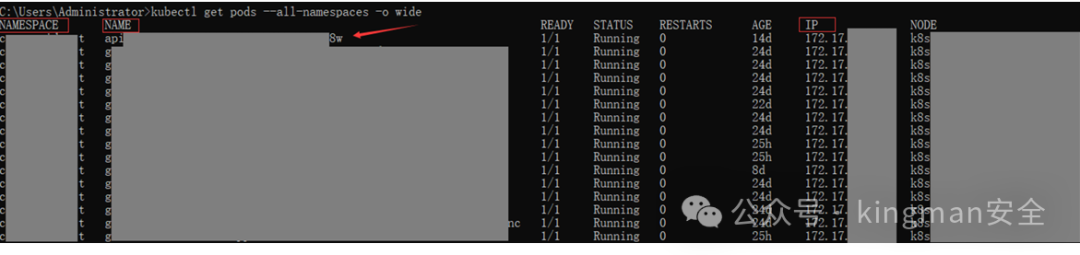 查看所有Pod信息