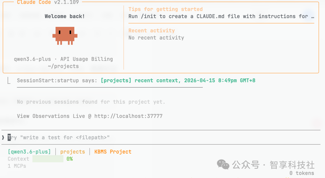 Claude Code 主界面运行截图