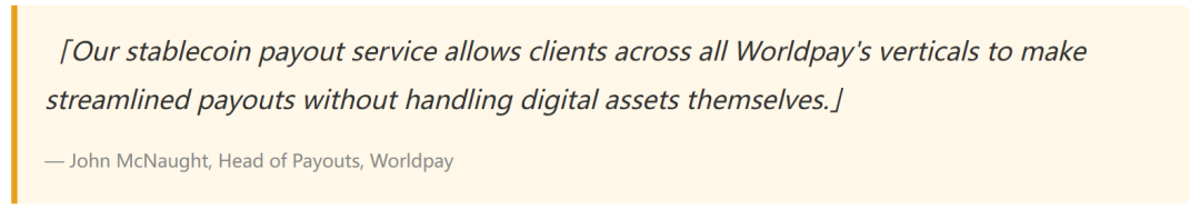 Worldpay关于BVNK服务的引文图片