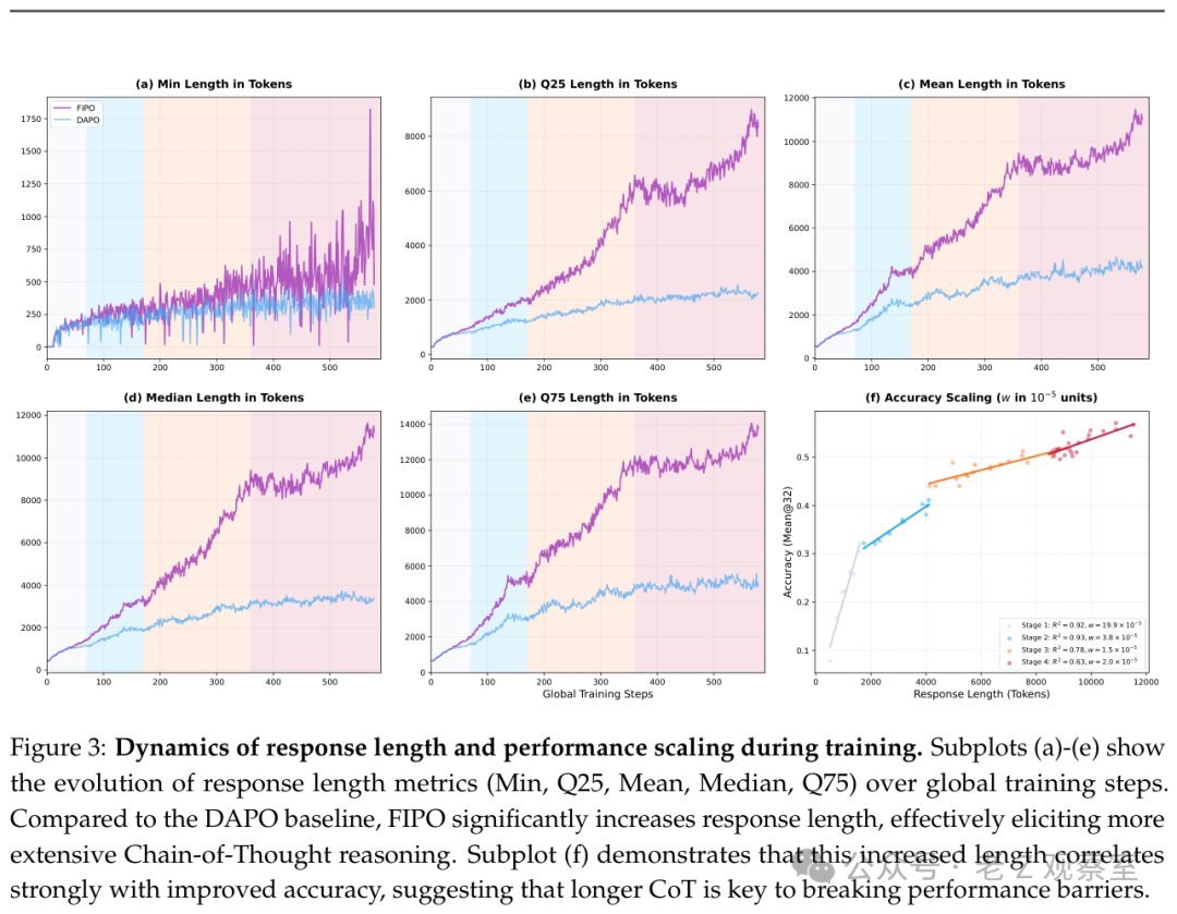 训练过程中响应长度与性能的动态演化