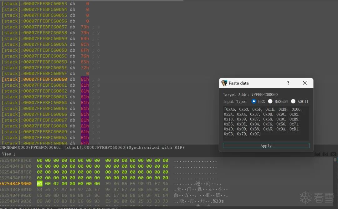 使用LazyIDA粘贴密文数据