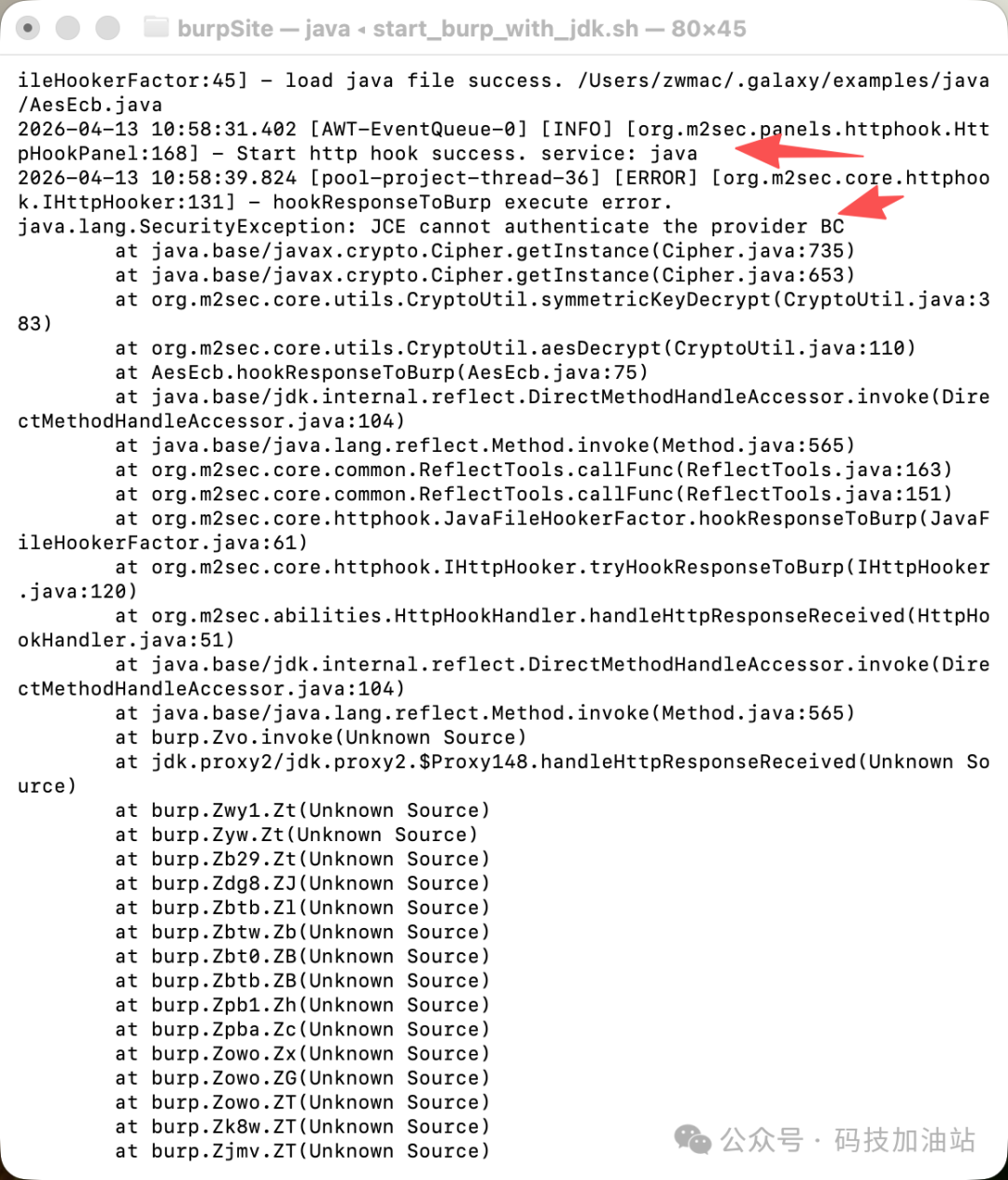 命令行启动Burp查看错误日志