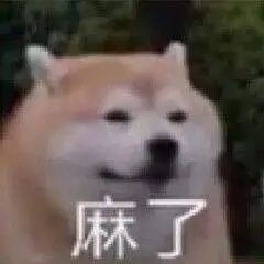柴犬表情配文“麻了”