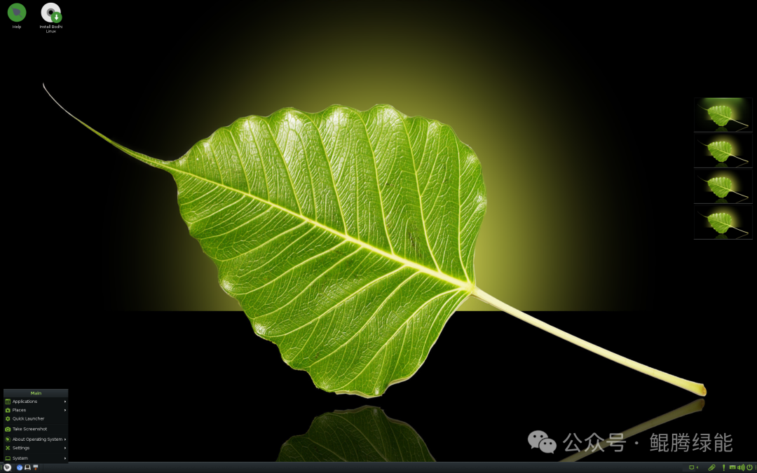 Bodhi Linux桌面截图，背景为黑色渐变黄绿色，中央是一片菩提叶，左上角有Help和Install Ubuntu Software图标