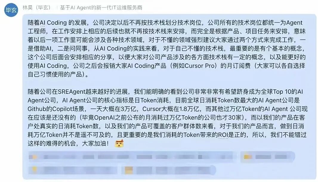 毕玄（林昊）关于AI Coding战略的内部公告截图