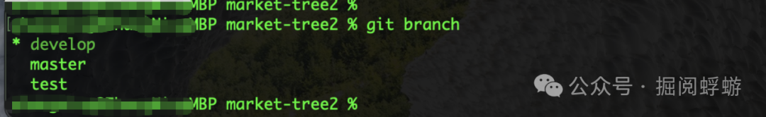 终端执行 git branch 命令，显示本地分支列表
