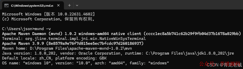 执行 mvnd -v 命令显示版本信息