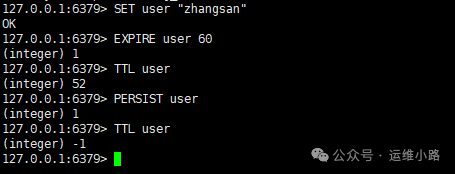 Redis命令行设置与查询TTL演示