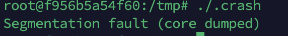 执行崩溃程序触发Segmentation fault