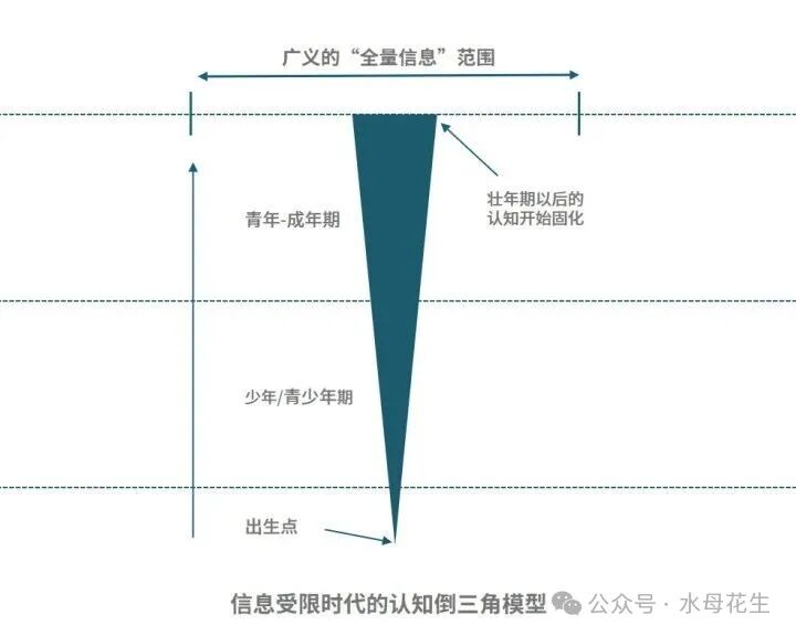 信息受限时代的认知倒三角模型示意图