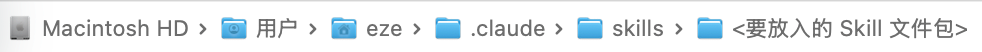全局skills目录路径示意