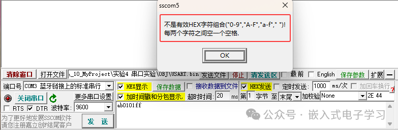 无效HEX字符输入错误提示