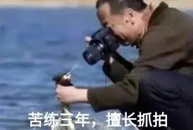 “苦练三年，擅长抓拍”的山鸡式幽默配图