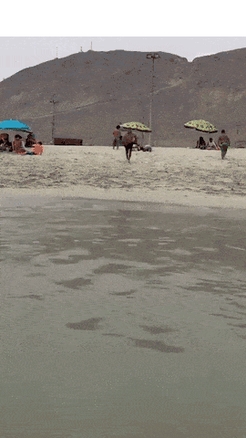 海滩奔跑摔倒动图