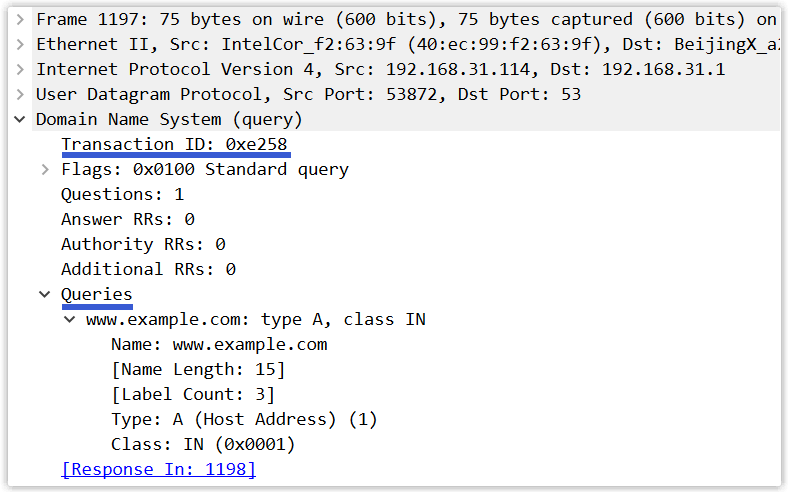 DNS查询报文Wireshark抓包详情