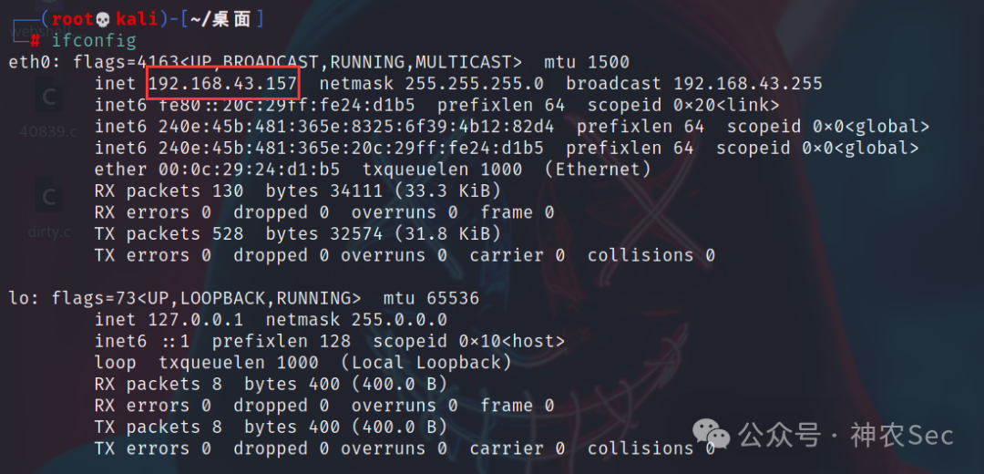 Kali 的 ifconfig 输出