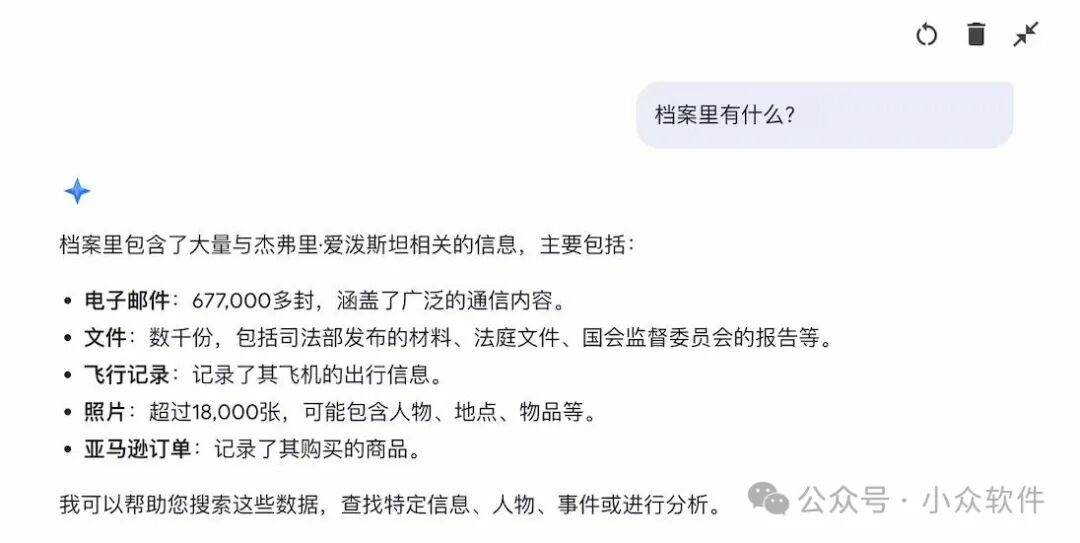 Jemini 回复内容截图，列出档案数据类型