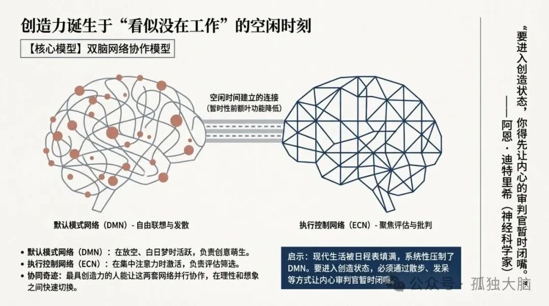 双脑网络协作模型图