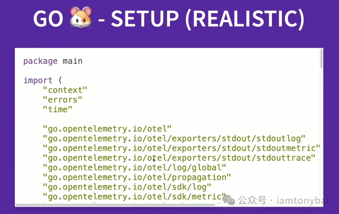真实的 OpenTelemetry Go SDK 初始化代码示例