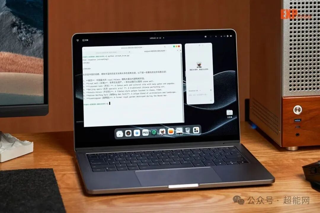 Python代码调用本地大模型结果