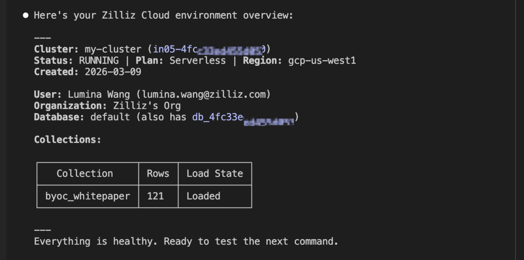 Zilliz Cloud 集群环境概览