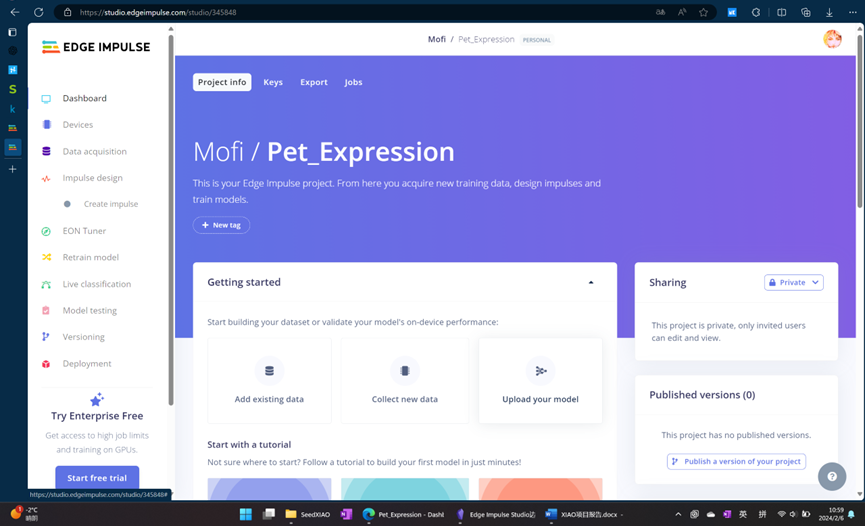Edge Impulse创建新项目