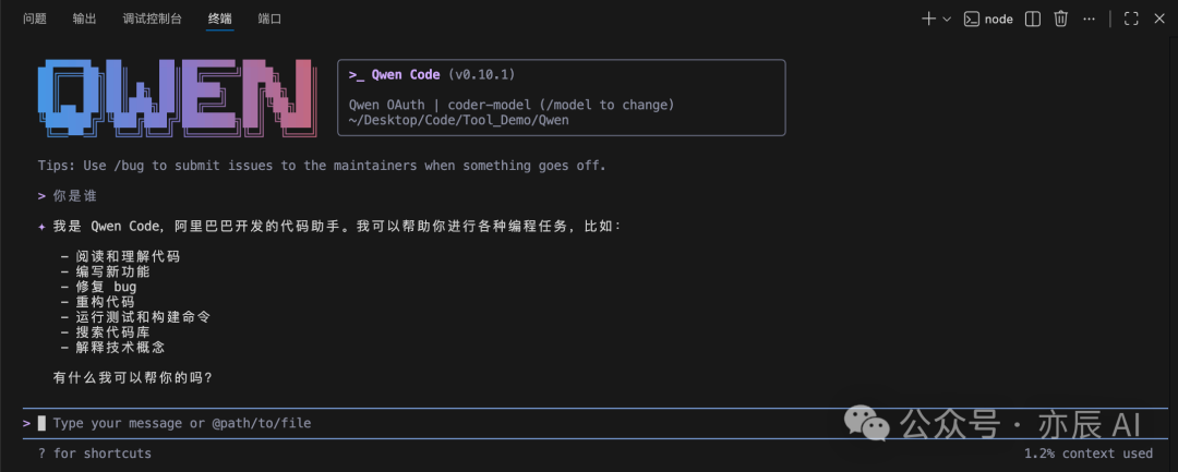与Qwen Code对话,询问其身份和功能