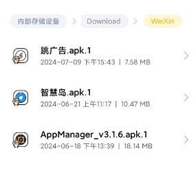 系统文件管理器中识别出的apk.1文件列表